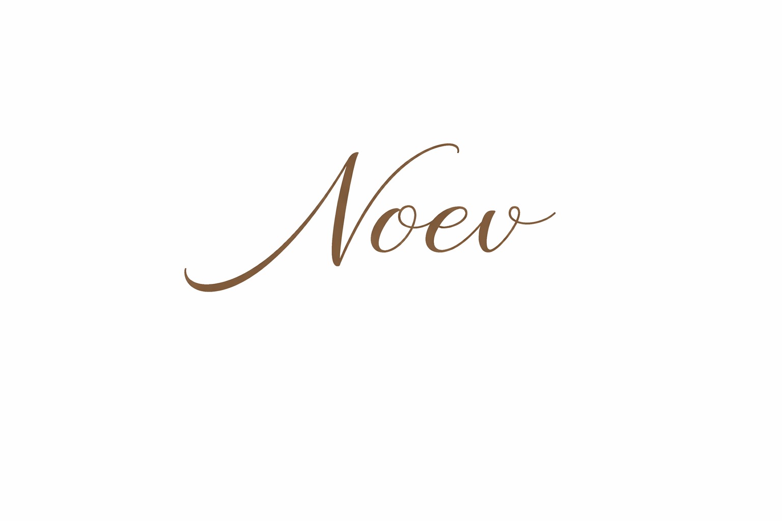 noev logo